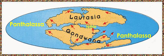 Le terre emerse iniziano a separarsi formando:LAURASIA e GONDWUANA