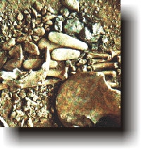 Resti ossei umani - tomba mesolitica