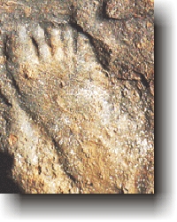 Impronta del piede di un giovane Neandertaliano