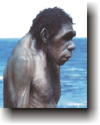 Figura dell' Homo SAPIENS-NEANDERTALENSIS